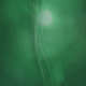 Illustration for article titled Holy crap! Look at this giant demon squid from hell